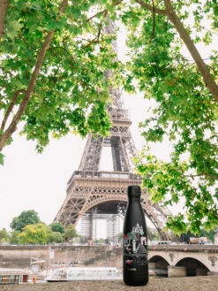 Bouteille isotherme - Originals Paris