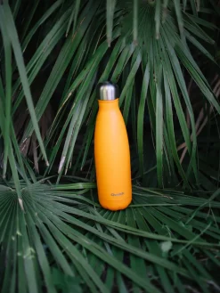 Bouteille isotherme - Originals Pop Orange